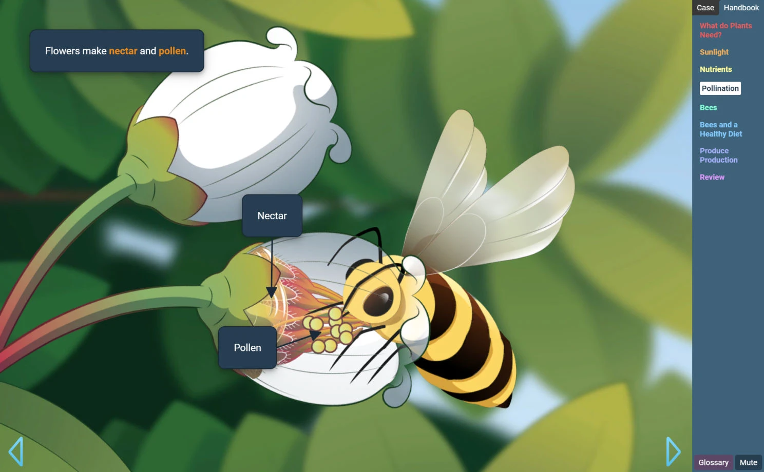 Preview of the Fruit Production and the Environment STEM Case