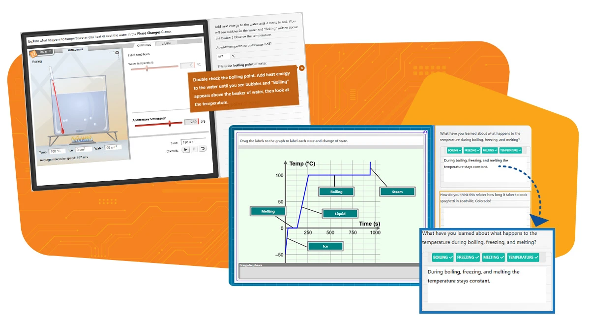 Feedback in Gizmos Investigations