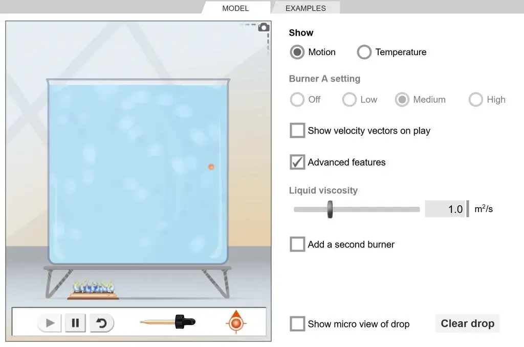 Convection Cells Gizmo