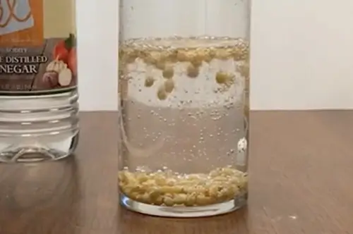 Dancing Kernels experiment