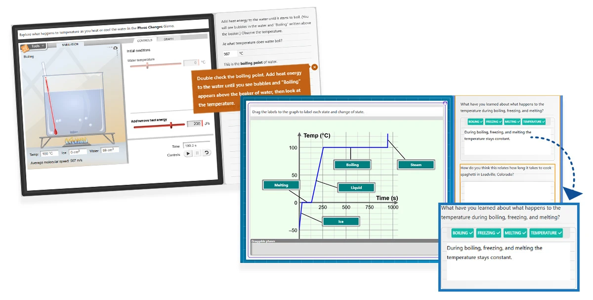 Feedback in Gizmos Investigations