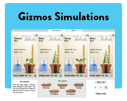 Gizmos Simulations
