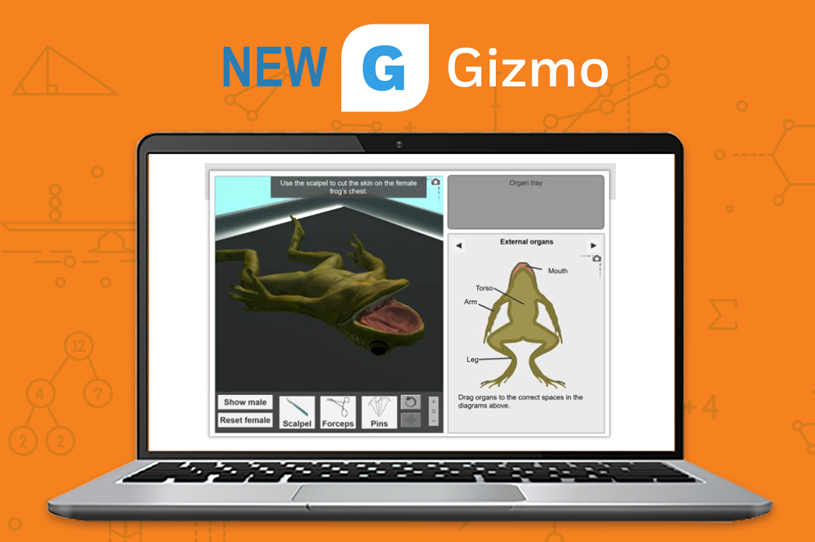 laptop with frog dissection Gizmo
