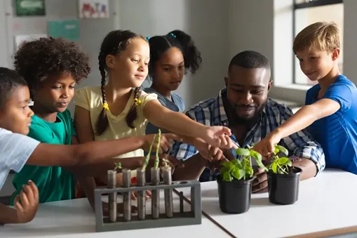 Teach Plant Growth: Why It Matters and How to Use Vi... | Gizmos