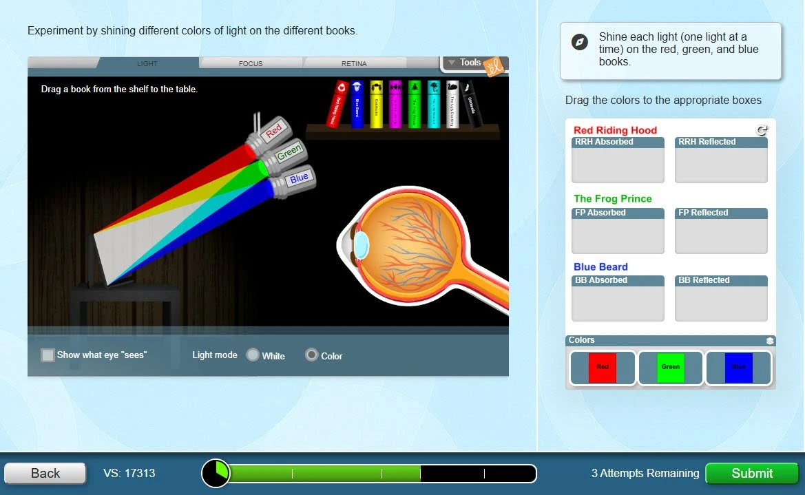 Eyes and Vision Simulations