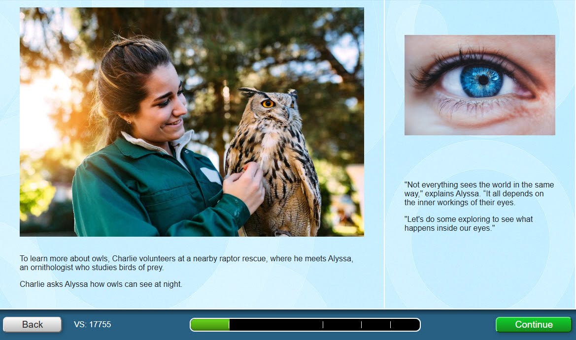 Owl Eyesight preview
