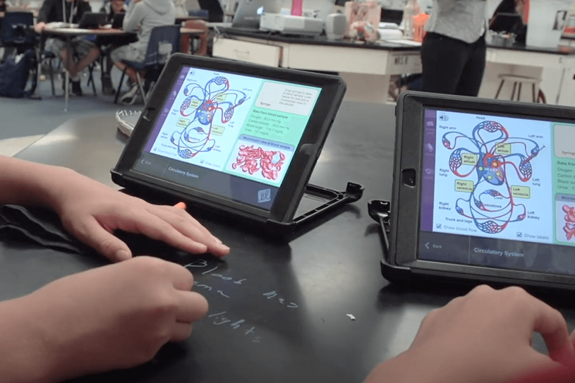 Lewisville ISD students using Gizmos