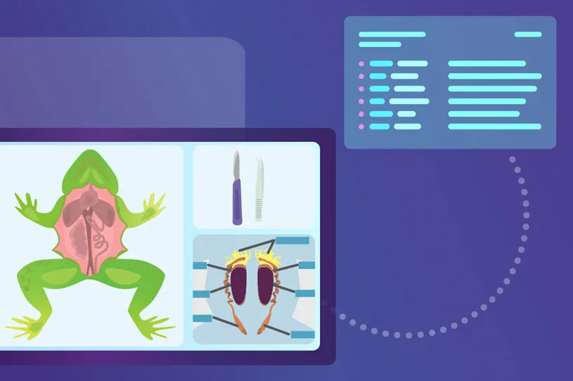A computer screen displays a frog alongside a...