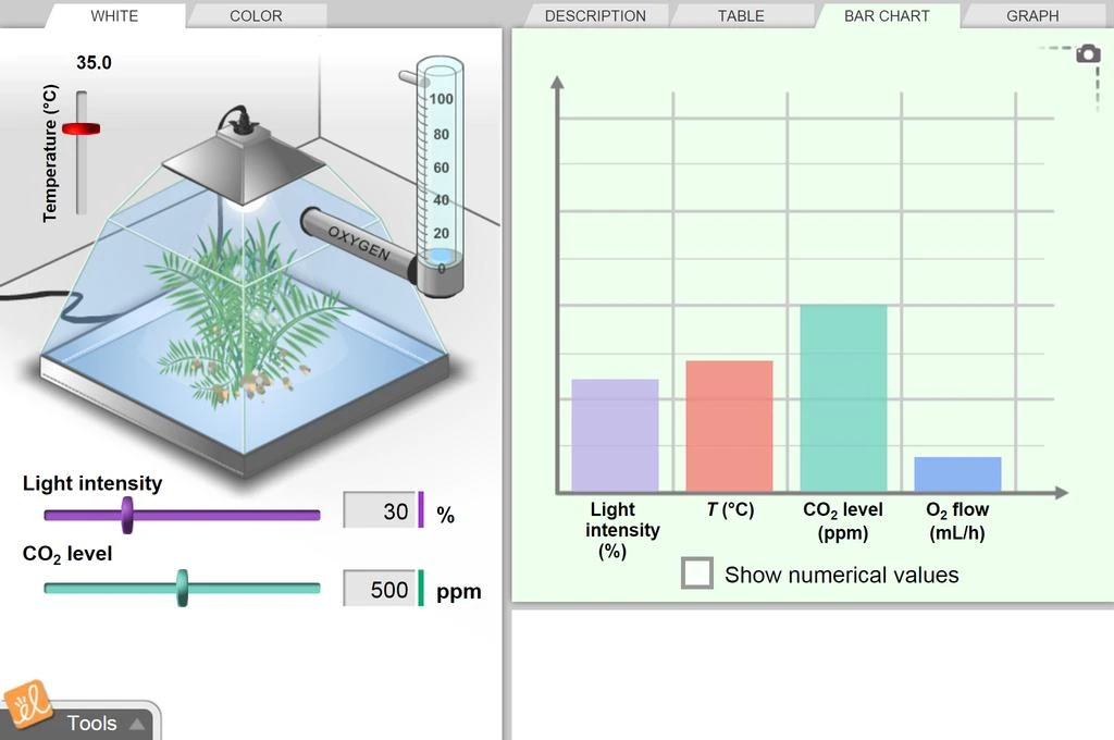 Photosynthesis Lab Gizmo