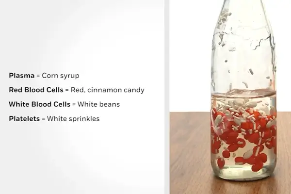 Understanding Interactive Science and Its Impact... | Science4Us